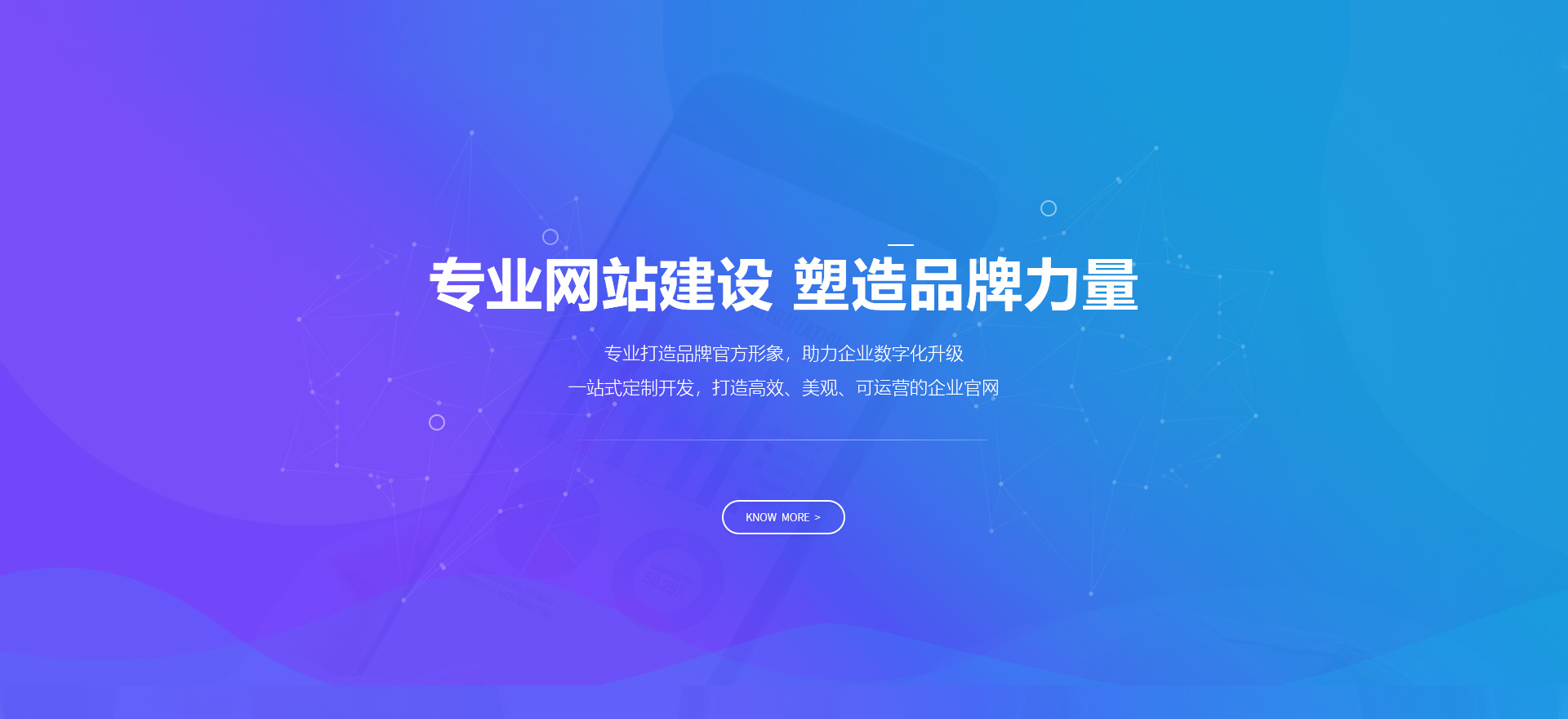 黄南建站-专业网站建设 塑造品牌力量