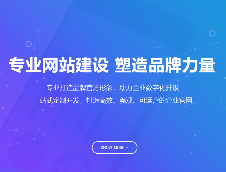 黄南建站-专业网站建设 塑造品牌力量